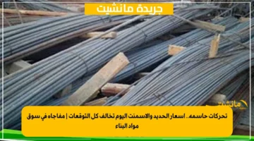 تحركات حاسمة.. أسعار الحديد والأسمنت اليوم تخالف كل التوقعات مفاجأة في سوق مواد البناء 1